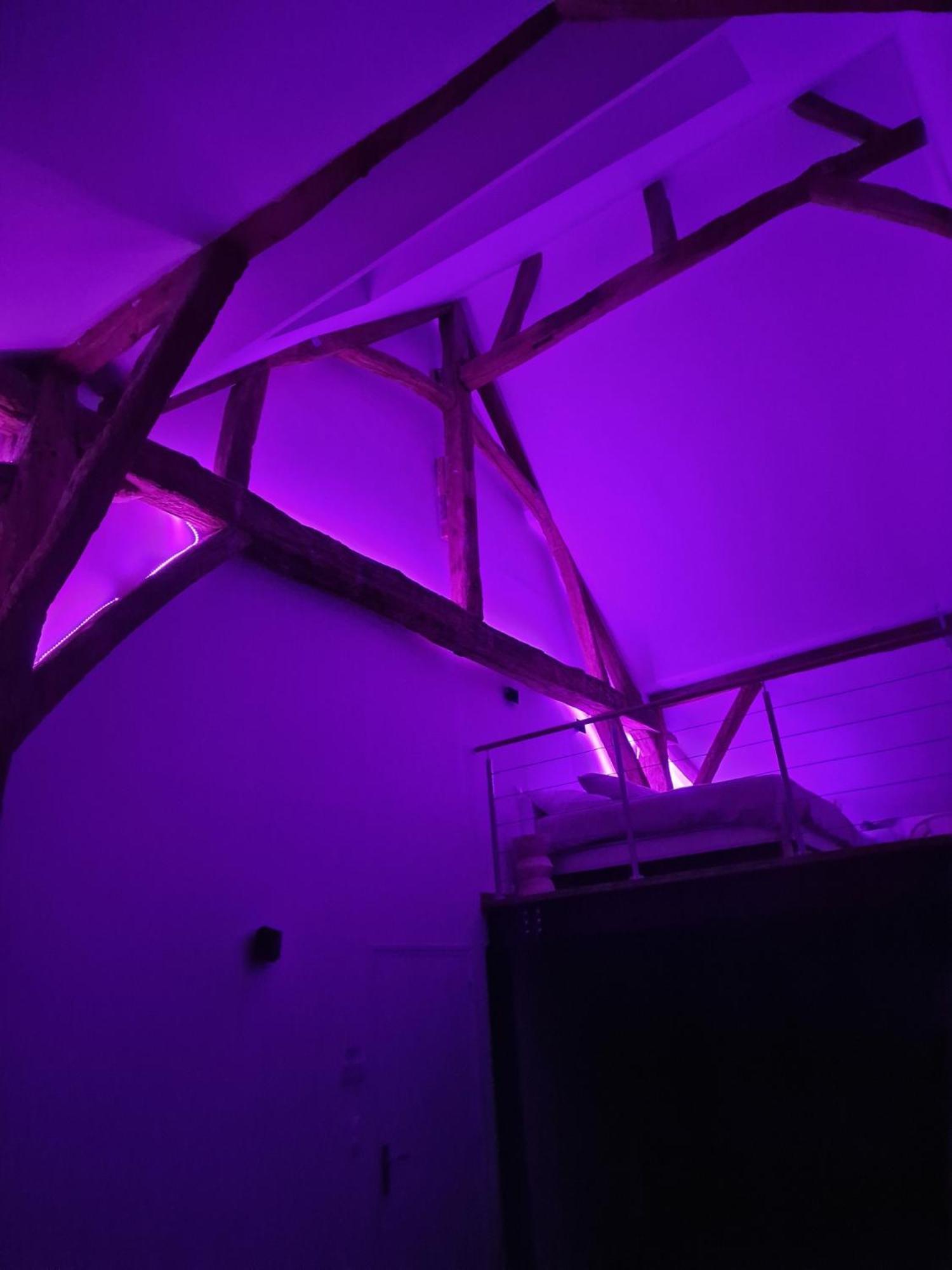 Le Loft Villa Suèvres Buitenkant foto